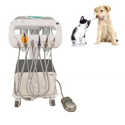 Máquina de tratamento dental portátil de uso de animais de estimação