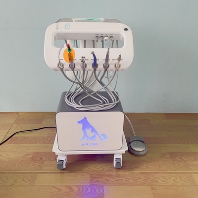 Máquina de tratamento dental portátil de uso de animais de estimação