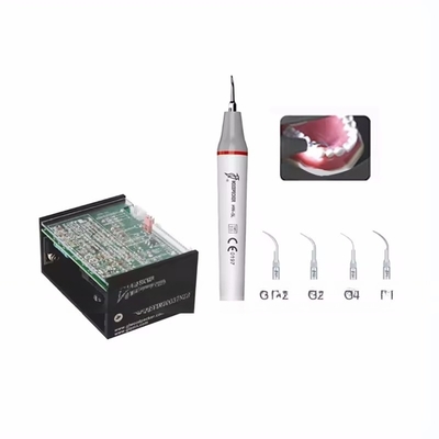 Pronto para o Envio Peixe de Madeira LED N2 Ultrassônico Dental Scaler para limpeza de dentes