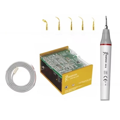 Peixe de madeira N3 LED Dentes limpo equipamento ultra-sônico Dental Scaler com 6 dicas