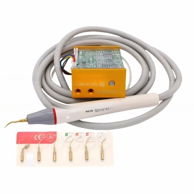 Peixe de madeira N3 LED Dentes limpo equipamento ultra-sônico Dental Scaler com 6 dicas