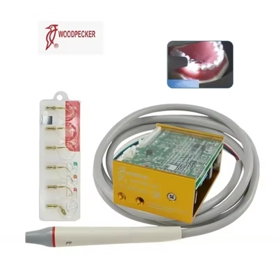Peixe de madeira N3 LED Dentes limpo equipamento ultra-sônico Dental Scaler com 6 dicas