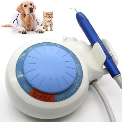 Dispositivo de limpeza de dentes Dental Scaler Ultrassônico LED Animais de estimação Dental Scaler Ultrassônico