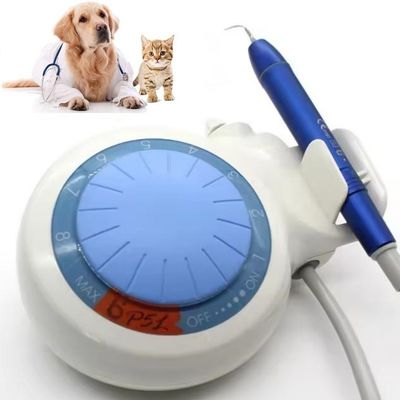 Bom preço. Dispositivo de limpeza de dentes Dental Scaler Ultrassônico LED Animais de estimação Dental Scaler Ultrassônico on-line