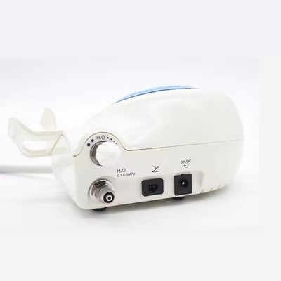 Dispositivo de limpeza de dentes Dental Scaler Ultrassônico LED Animais de estimação Dental Scaler Ultrassônico