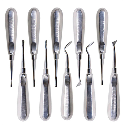 10pcs Elevador Dental Kit Dentista Ferramentas Cirúrgicas Elevador Dental de Raiz de Aço Inoxidável