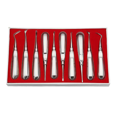 10pcs Elevador Dental Kit Dentista Ferramentas Cirúrgicas Elevador Dental de Raiz de Aço Inoxidável