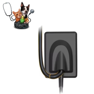 Equipamento Dental Veterinário Sistema Digital de Imagem de Raios X Dentes de Animais de estimação Sensor de Raios X RVG