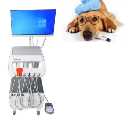 Veterinária Cirúrgica Unidade de Tratamento Dental Com Computador e Compressor de Ar Construído