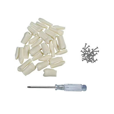 32pcs / Set Dental Typodont Dentes de substituição Dental Student prática Ferramentas Dureza Dentes de resina