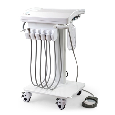 Foshan Factory Direct Veterinary Dental System Mini Body Mobile Dental Unit Light Weight Pet Dental Operation Unit