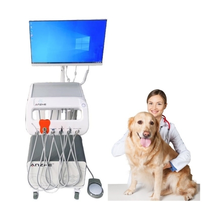 Caminhão Móvel Dental Veterinário Caminhão Móvel 550W Carrinho Médico Animais de estimação Cuidados Dentários Veterinário Utilize Unidade de Tratamento Dental