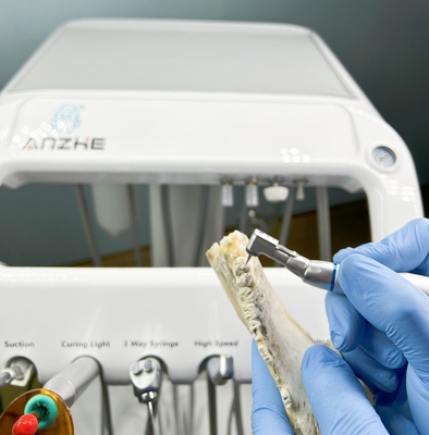 Fabrica Dentária Equipamento de Terapia Dentária de Animais de estimação Com Compressor de Ar 220V Unidade Dentária Portátil Veterinária Padrão da UE