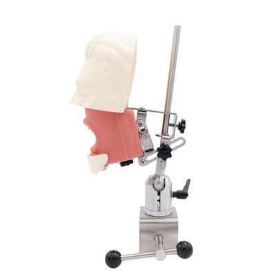 Unidade de educação de simuladores dentários Escola dentária Sistema de simulação de prática Implante dentário Cabeça fantasma