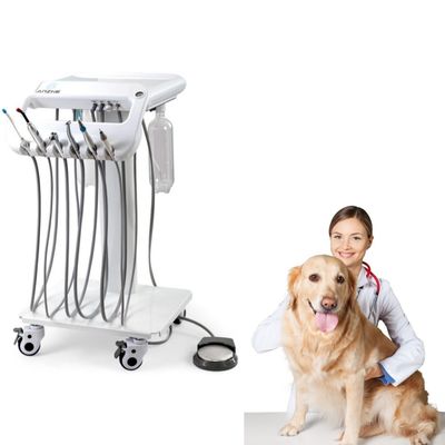 Máquina portátil de tratamento odontológico para animais de estimação, unidade odontológica móvel, unidade de tratamento odontológico, unidade de turbina portátil com compressor de ar