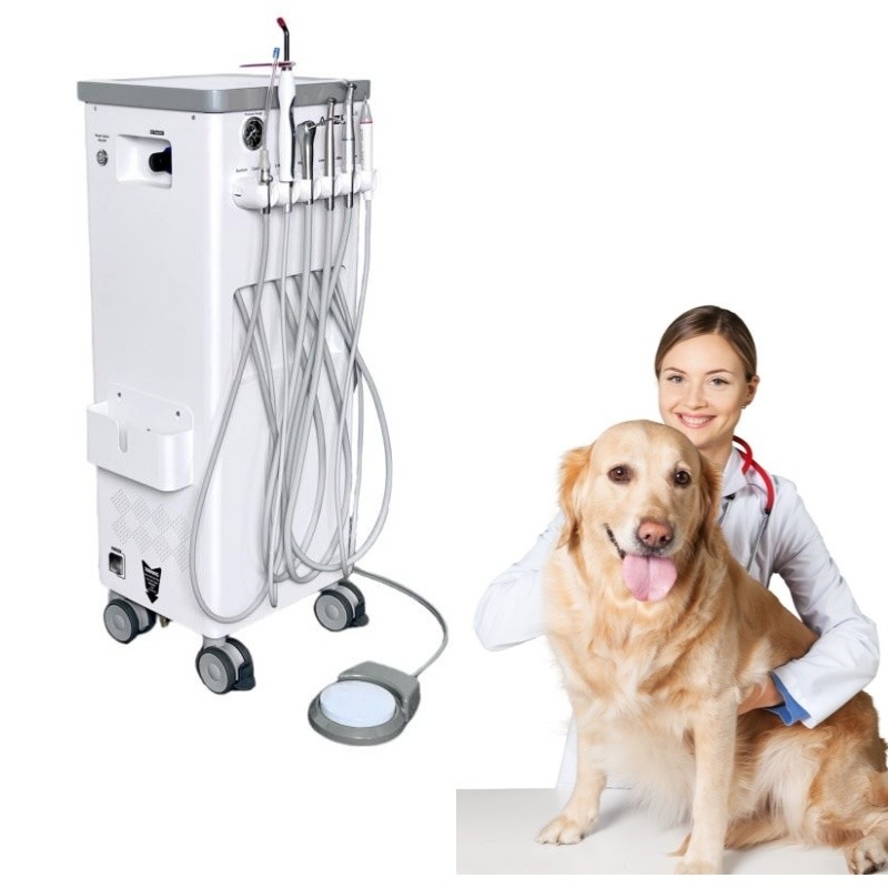 Máquina de tratamento de dentes de animais de estimação Mover à vontade Veterinário usar unidade de tratamento dentário de animais de estimação com compressor