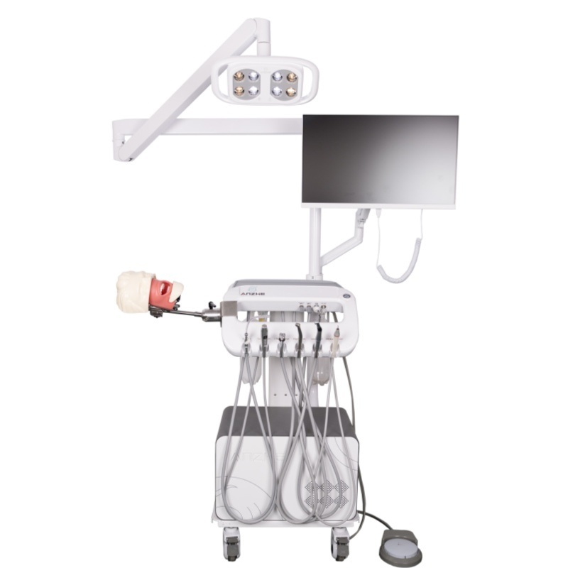 Modelo de Extração de Anestesia Dentária Modelo de Treinamento de Injeção de Anestesia para Escola de Odontologia Simulador de Anestesia Oral