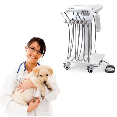 Bom preço. Garantia de 1 ano Unidade de Tratamento Dental Veterinário Desenho Único Máquina Móvel de Terapia Dental on-line