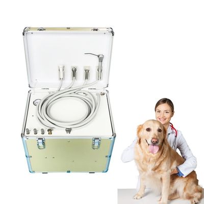 Bom preço. Silent Vet Use Mobile Dental Treatment Unit Suíte Design fácil de levar Animais de estimação Equipamento de tratamento de dentes Unidade dental portátil on-line