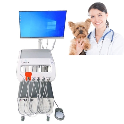 Mesa móvel de trabalho odontológico para equipamento terapêutico veterinário Cuidados dentários de animais Carrinho dentário móvel