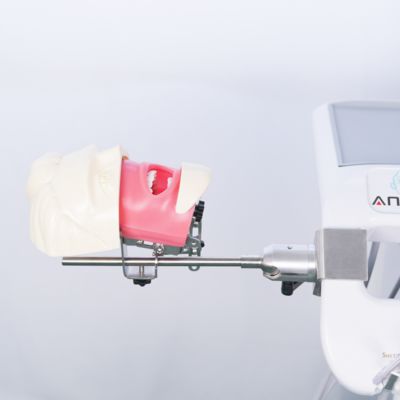 Bom preço. Advanced Oral Phantom Head Dental Teaching Head Model Dental School Desktop Practice Dental Training Simulator (Capa Fantoma Oral Avançada) on-line