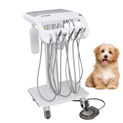 Bom preço. Unidade Dental Veterinária Portátil para Animais de estimação. Máquina Móvel de Tratamento Dental Veterinário com Escalão e Peças de Mão. on-line