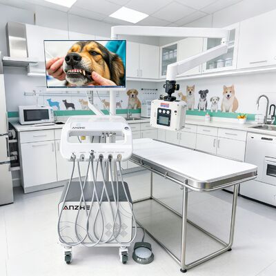 Carrinho odontológico veterinário móvel direto da fábrica com unidade de raio-x, carrinho portátil para tratamento odontológico veterinário, carrinho odontológico OEM
