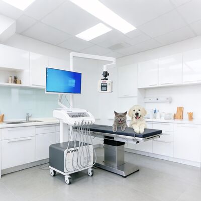 Bom preço. Unidade de Terapia Dentária Portátil com Raio-X Integrado e Carrinho Odontológico Móvel com PC, Compressor de Ar, Sistema de Sucção, Unidade de Entrega Odontológica para Uso em Clínicas e Atendimento Externo on-line