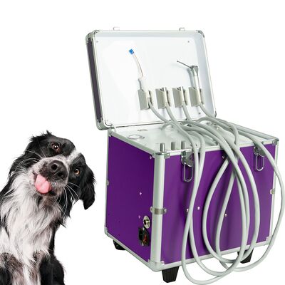 Bom preço. Sistema de cuidados dentários de animais de estimação todo-em-um com compressor de ar, tubos de mão e forte sucção para clínicas veterinárias móveis on-line