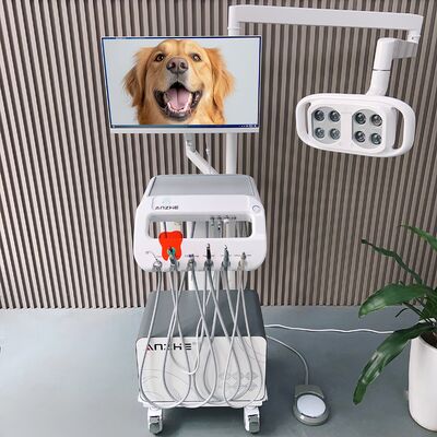 Bom preço. Unidade dentária veterinária portátil com lâmpada LED e compressor de ar Carrinho de tratamento dentário para animais de estimação móvel Máquina de terapia dentária de 550W para clínica de animais on-line