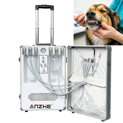 Bom preço. Unidade Portátil de Tratamento Dentário para Animais de Estimação com 550W de Potência e 0.8Mpa de Pressão para Odontologia Veterinária on-line