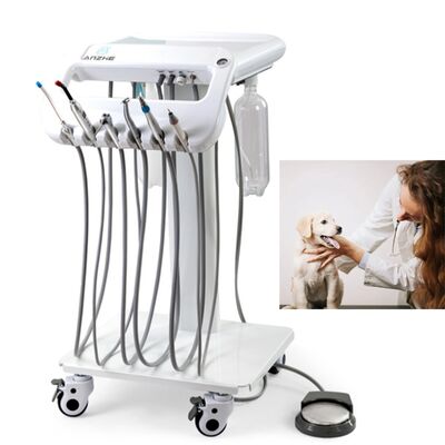 Bom preço. Máquina dental veterinária portátil com tanque de ar inoxidável de 10L de potência de 550W e nível de ruído de 38DB para terapia dentária móvel on-line