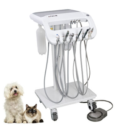 Bom preço. Carrinho Odontológico Veterinário Portátil Direto da Fábrica para Cães e Gatos | Carrinho Móvel para Tratamento Odontológico de Animais de Estimação com Ultrassom, Sistema de Sucção e Fotopolimerizador LED | Equipamento Odontológico Veterinário OEM/ODM on-line