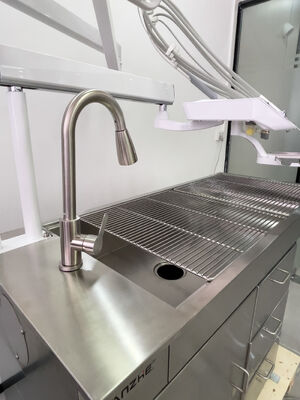 Bom preço. Unidade de tratamento dentário veterinário com lâmpada de borboleta de clareamento LED 32L compressor de ar livre de óleo aço inoxidável estação de trabalho dentária veterinária on-line