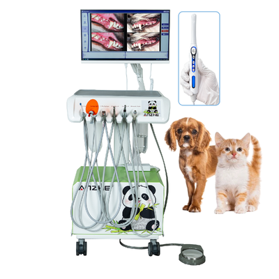 HD Câmera Oral Estação de Trabalho Dental Veterinária All-in-One PC Win10 Mobile Vet Dental System Plug & Play Solução completa de odontologia veterinária
