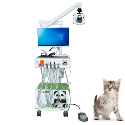 Bom preço. Fábrica Original Sensor Intraoral Digital Veterinário Plug-and-Play Totalmente equipado Raio-X de Alta Resolução para Clínicas de Animais de estimação on-line