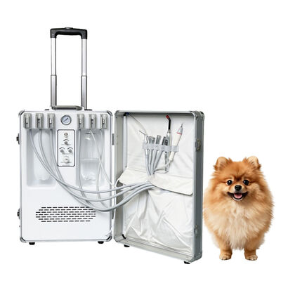 Bom preço. Unidade odontológica portátil veterinária com compressor de ar livre de óleo, raspador ultrassônico e sistema de sucção, tudo em um equipamento móvel para tratamento odontológico para animais de estimação, direto da fábrica on-line
