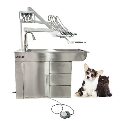 Fábrica Directo Veterinária Dentária Unidade com LED Lâmpada de Branqueamento 32L Compressor sem óleo aço inoxidável tudo em um Veterinária Estação de Trabalho Dental