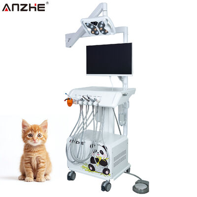Bom preço. Unidade de Tratamento Dental Veterinário Sistema All-in-One com câmera intraoral HD, lâmpada de borboleta LED e sistema de controle de janelas para hospitais de animais on-line