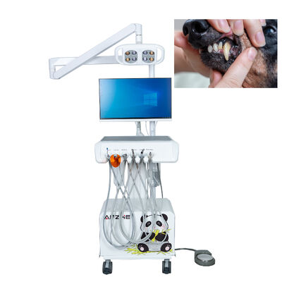 Estação de trabalho odontológica veterinária com câmera intraoral HD luz de exame LED e sistema de computador integrado para hospitais de animais
