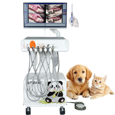 Unidade dentária veterinária portátil com câmara oral HD e sistema dentário integrado em computador para clínicas de animais