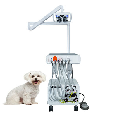 Bom preço. Unidade Odontológica Veterinária Portátil com Lâmpada LED Borboleta Compressor de Ar Integrado Ultrassom Odontológico Fotopolimerizador Sistema de Sucção para Clínicas Odontológicas de Animais on-line