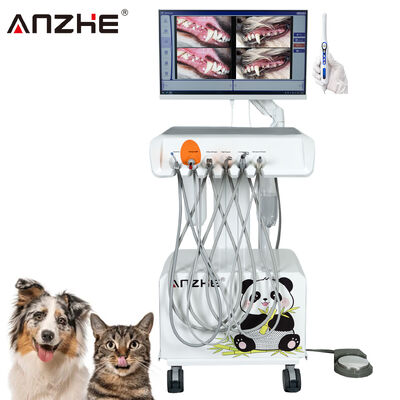 Bom preço. Unidade Odontológica Veterinária Portátil Direta da Fábrica com Câmera Oral HD e Computador All-in-One com Tela Sensível ao Toque de 23,8 Polegadas, Compressor de Ar Integrado, Ultrassom e Fotopolimerizador para Clínicas Odontológicas de Animais on-line