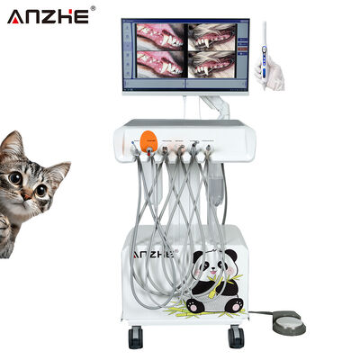 Bom preço. Unidade dentária veterinária portátil com câmera oral HD e computador integrado com compressor de ar Estação de trabalho dentária veterinária para clínicas dentárias de animais on-line