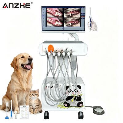 Bom preço. Estação de Trabalho Odontológica Veterinária Portátil Tudo em Um com Câmera Oral HD Compressor Silencioso Sem Óleo 38dB e Sistema de Sucção Integrado para Hospital de Animais de Estimação e Clínica Veterinária on-line