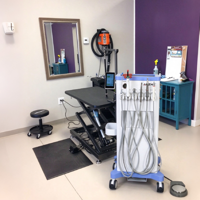 Bom preço. Unidade Dental Veterinária Portátil de 550W com Pressão de 0,8Mpa e Ruído de 38DB on-line