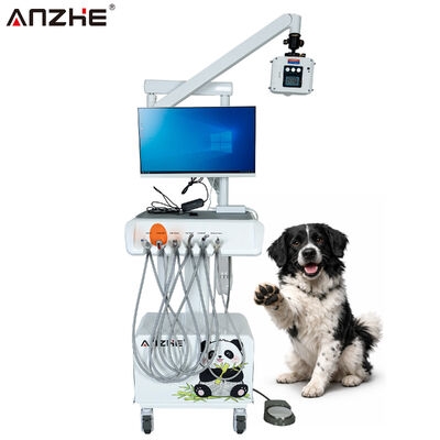 Bom preço. Estação de trabalho dentária veterinária integrada com sensor digital de raios-X, câmara oral HD e computador tudo em um on-line