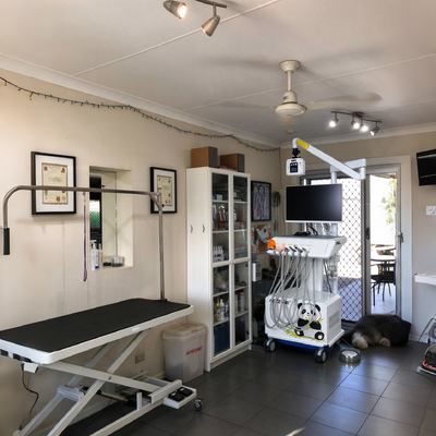 Bom preço. Estação de trabalho dentária veterinária de 550W com pressão de 0,8Mpa e ruído de 58DB para clínicas dentárias de animais on-line