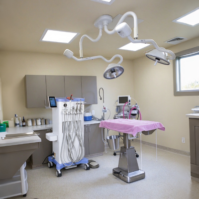 Bom preço. 550W Carrinho Dental Veterinário Portátil com Pressão de 0,8Mpa e Ruído de 38DB para Estação de Trabalho Dental Animal on-line