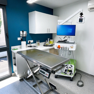 Bom preço. Estação de trabalho dentária veterinária com sensor digital de raios X e câmera oral para clínicas de animais on-line